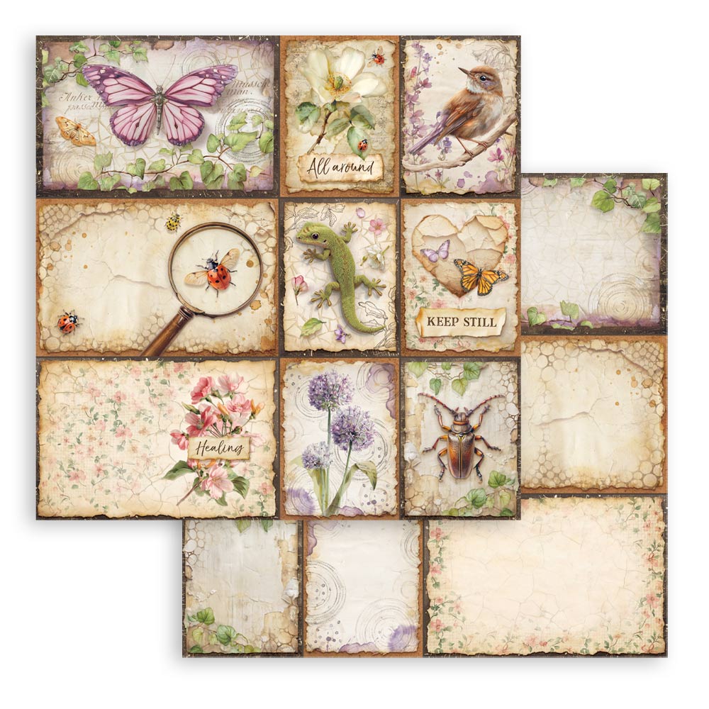 Stamperia ALL AROUND 12x12 Double Faced Scrapbook Paper 10 PCS+Bonus #SBBL187