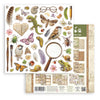 Stamperia ALL AROUND 12x12 Double Faced Scrapbook Paper 10 PCS+Bonus #SBBL187