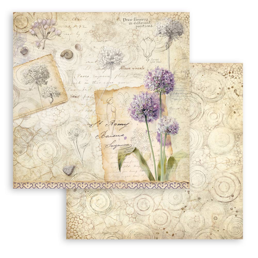 Stamperia ALL AROUND 12x12 Double Faced Scrapbook Paper 10 PCS+Bonus #SBBL187
