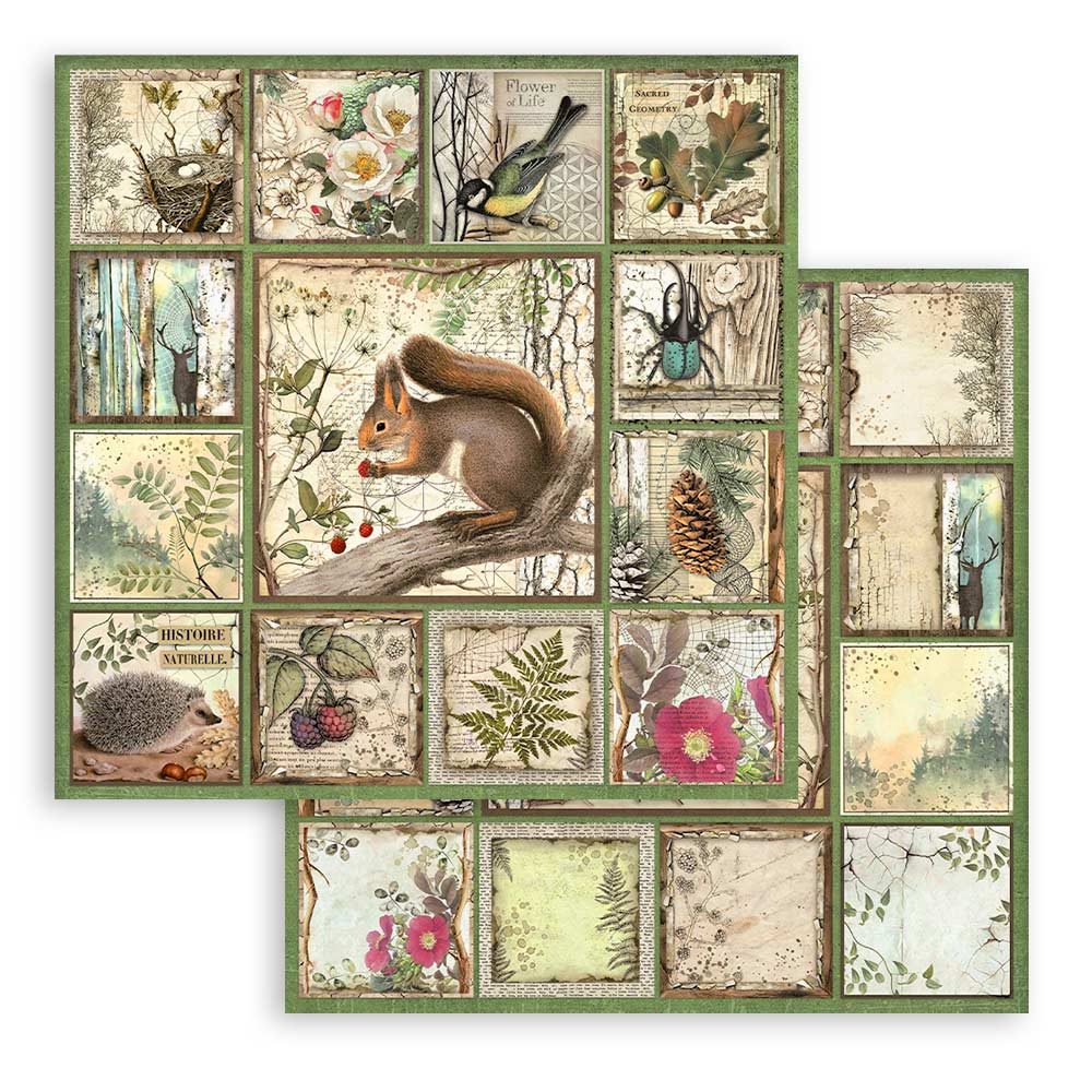 Stamperia FOREST 12x12 Double Faced Paper 10 Sheets + Bonus #SBBL63