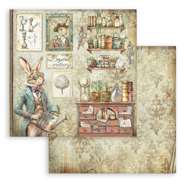 Stamperia ALTEREGO 8X8 Double Faced Paper 10 Sheets + Bonus #SBBS115