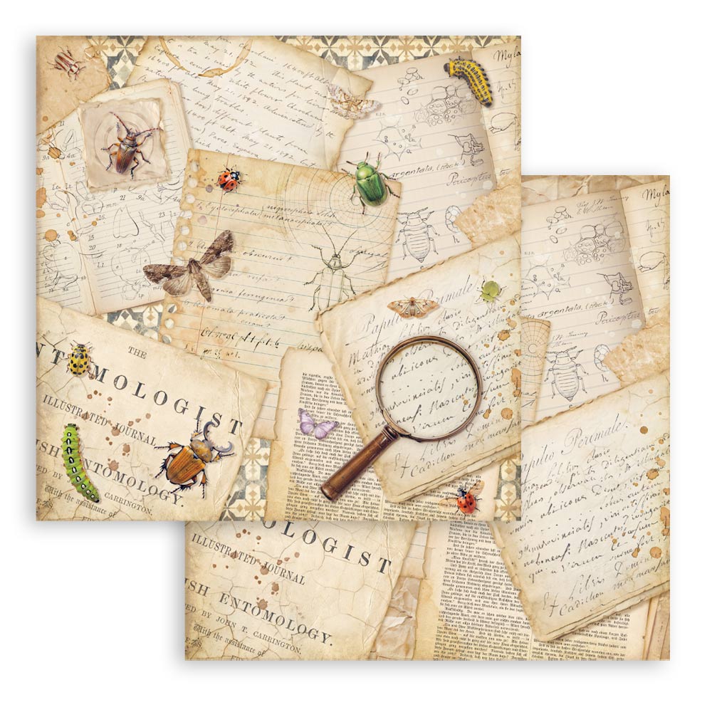 Stamperia ALL AROUND 8X8 Double Faced Paper 10 Sheets + Bonus #SBBS143