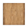 PRE-ORDER Stamperia HIDDEN GROVE 8X8 SINGLE Faced Paper 22 SHEETS #SBBSXB10