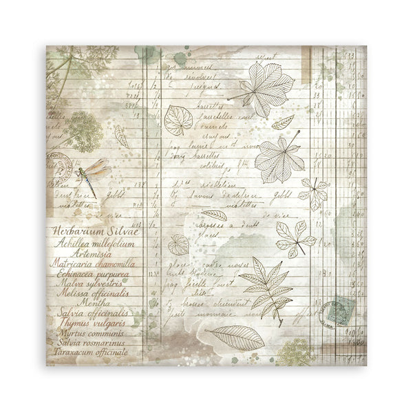 Stamperia HERBARIUM SILVAE 8X8 SINGLE Faced Paper 22 SHEETS #SBBSXB20