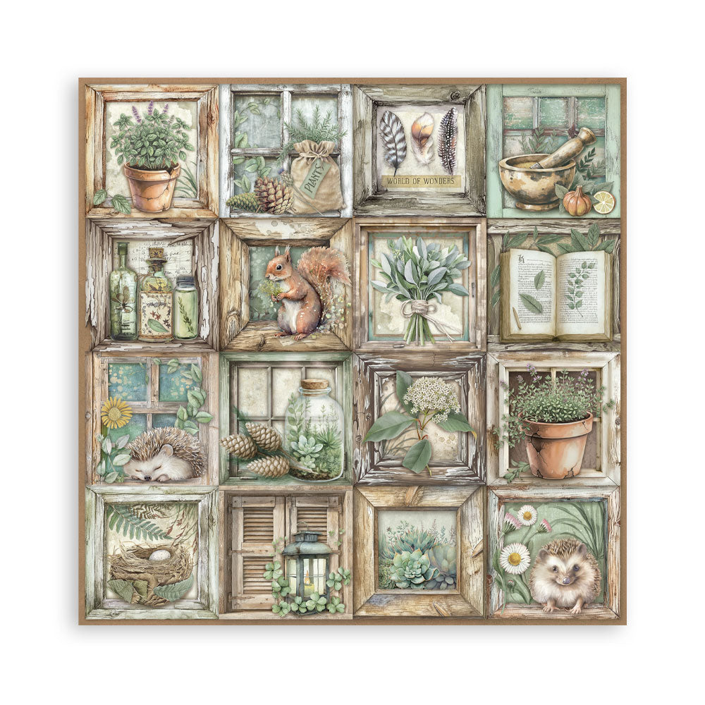 Stamperia HERBARIUM SILVAE 8X8 SINGLE Faced Paper 22 SHEETS #SBBSXB20