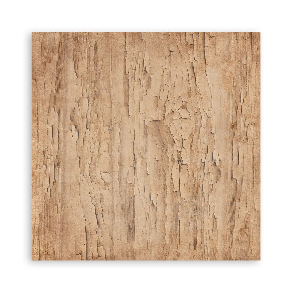 Stamperia FAMILY 8X8 SINGLE Faced Paper 22 SHEETS #SBBSXB21