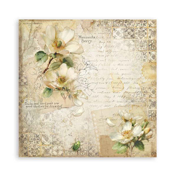 Stamperia ALL AROUND 8X8 SINGLE Faced Paper 22 SHEETS #SBBSXB25