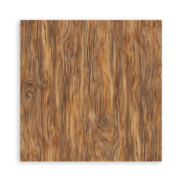 Stamperia WHISPERING WOODS 12x12 Single Sided Scrapbook Paper 22 pcs #SBBXLB29
