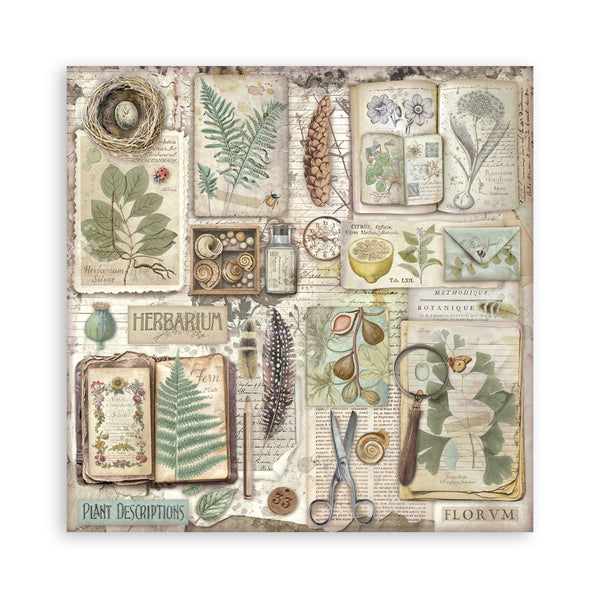 Stamperia HERBARIUM SILVAE 12x12 Single Sided Scrapbook Paper 22 pcs #SBBXLB32