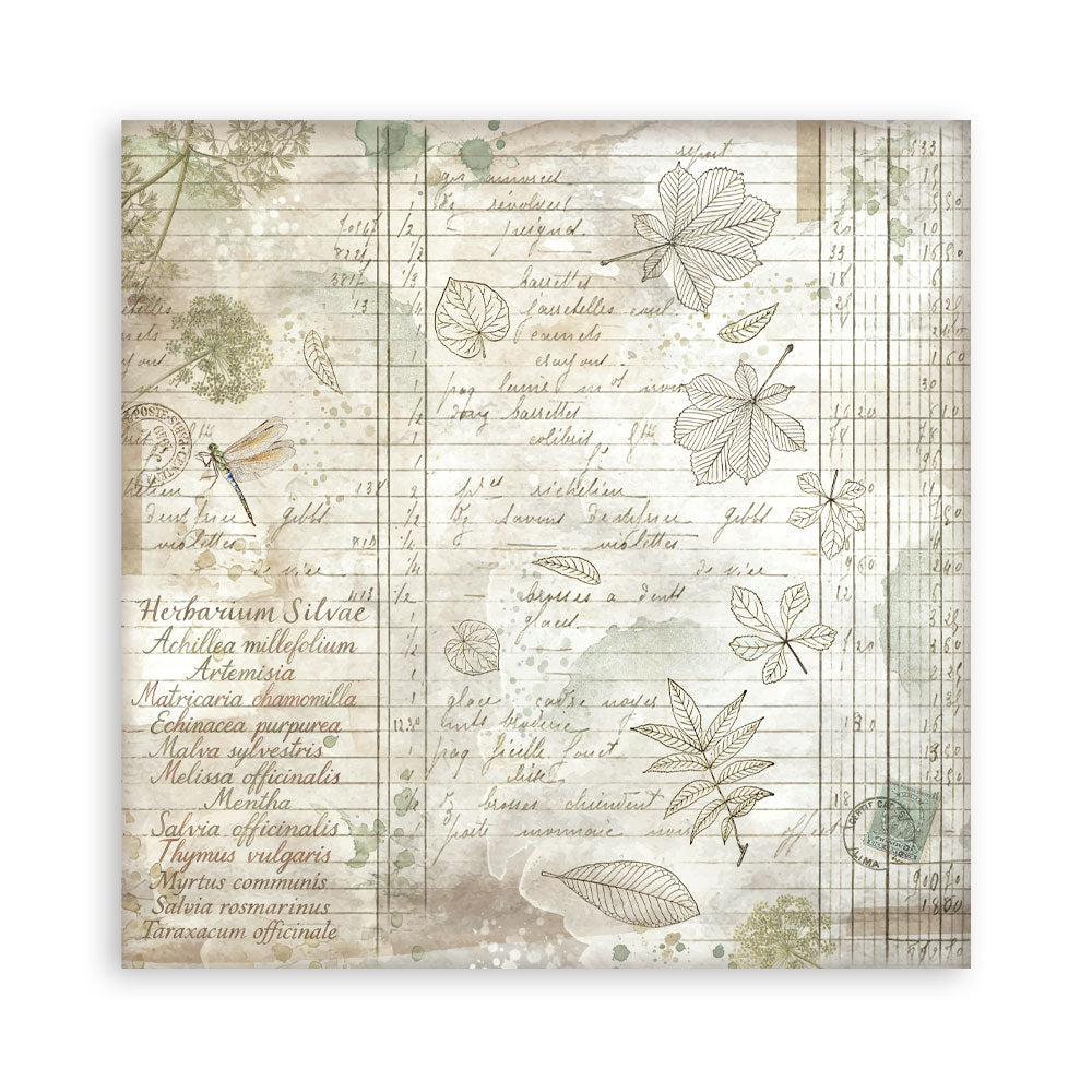 Stamperia HERBARIUM SILVAE 12x12 Single Sided Scrapbook Paper 22 pcs #SBBXLB32