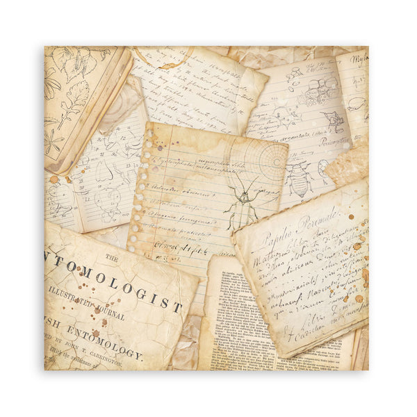 Stamperia ALL AROUND 12x12 Single Sided Scrapbook Paper 22 pcs #SBBXLB37
