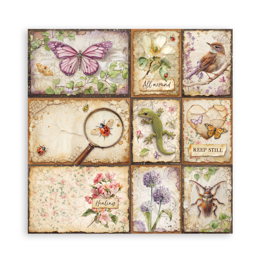 Stamperia ALL AROUND 12x12 Single Sided Scrapbook Paper 22 pcs #SBBXLB37