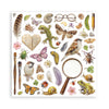 Stamperia ALL AROUND 12x12 Single Sided Scrapbook Paper 22 pcs #SBBXLB37