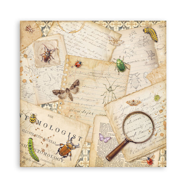 Stamperia ALL AROUND 12x12 Single Sided Scrapbook Paper 22 pcs #SBBXLB37
