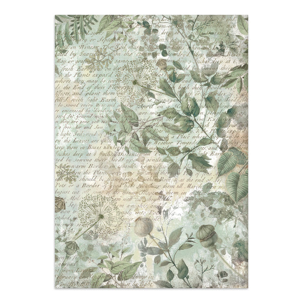 Stamperia HERBARIUM SILVAE A4 Junk Journal Stickers Cut outs Backgrounds #SBJK09