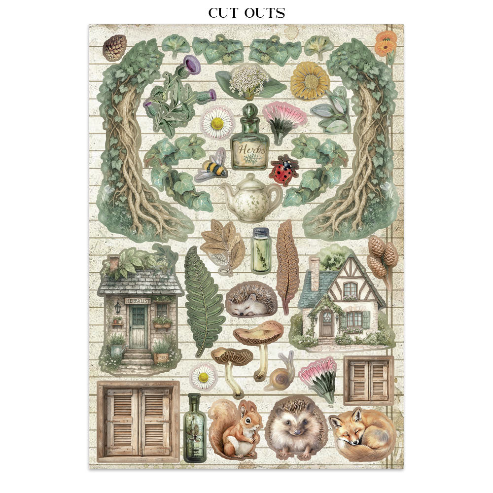 Stamperia HERBARIUM SILVAE A4 Junk Journal Stickers Cut outs Backgrounds #SBJK09