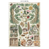 Stamperia HERBARIUM SILVAE A4 Junk Journal Stickers Cut outs Backgrounds #SBJK09