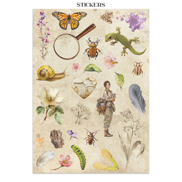 PRE-ORDER / RE-ORDER Stamperia ALL AROUND - A4 Junk Journal - Stickers Cut outs Backgrounds #SBJK20