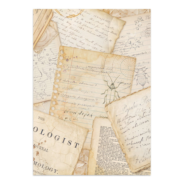 PRE-ORDER / RE-ORDER Stamperia ALL AROUND - A4 Junk Journal - Stickers Cut outs Backgrounds #SBJK20