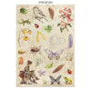 PRE-ORDER / RE-ORDER Stamperia ALL AROUND - A4 Junk Journal - Stickers Cut outs Backgrounds #SBJK20