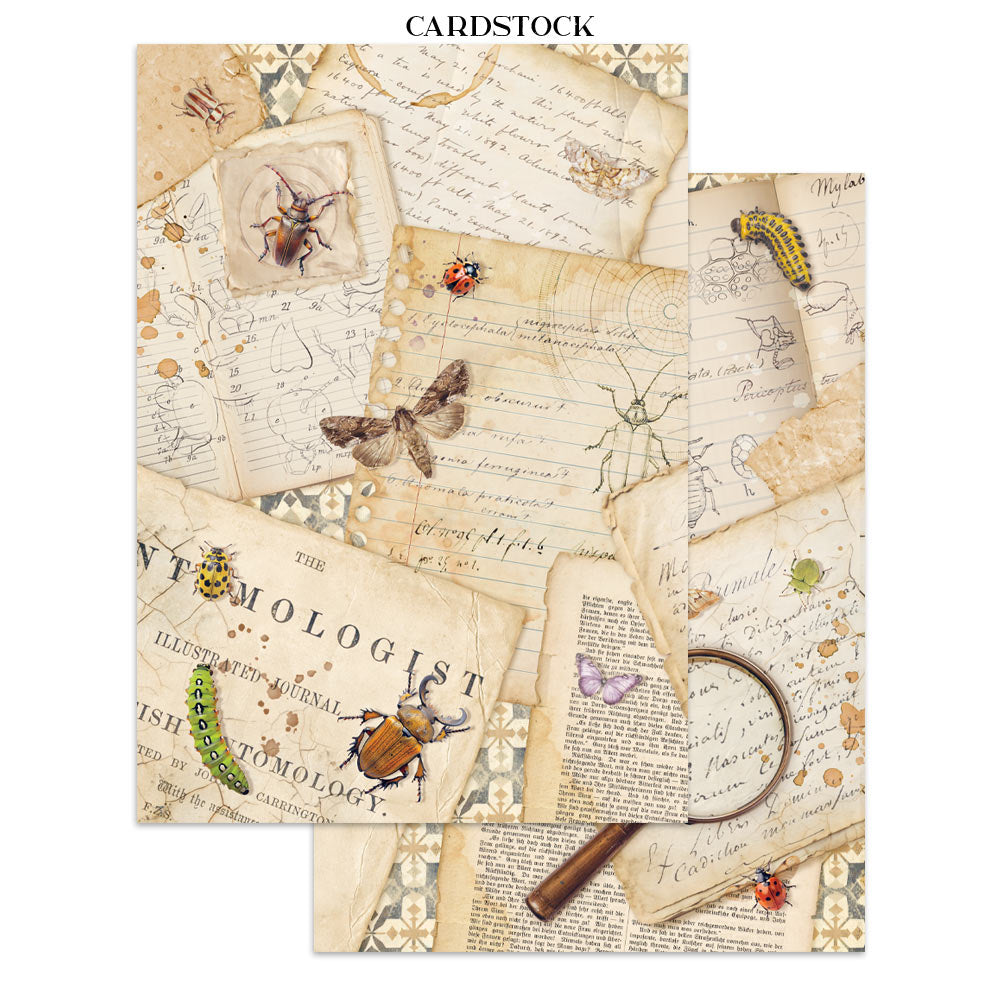PRE-ORDER / RE-ORDER Stamperia ALL AROUND - A4 Junk Journal - Stickers Cut outs Backgrounds #SBJK20