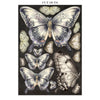 Stamperia GARDENS OF TIME A5 Junk Journal FOCUS POINTS for Arts & Crafts #SBJKS01
