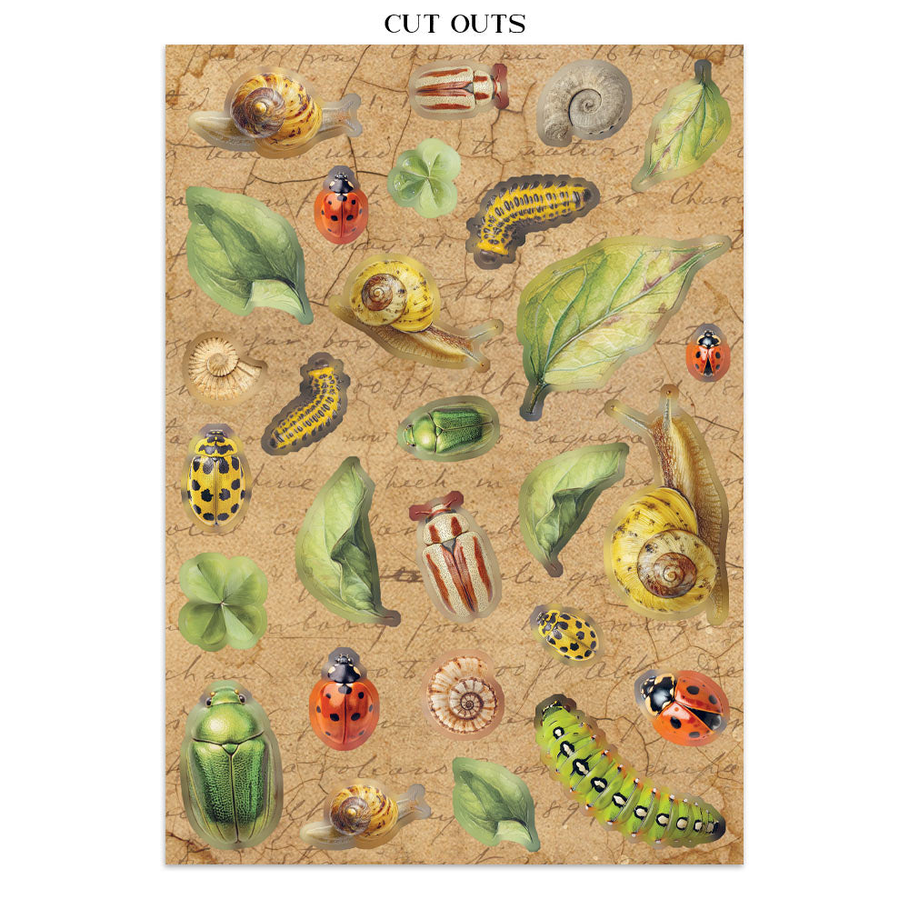 PRE-ORDER / RE-ORDER Stamperia ALL AROUND A5 Junk Journal FOCUS POINTS for Arts & Crafts #SBJKS02