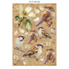 PRE-ORDER / RE-ORDER Stamperia ALL AROUND A5 Junk Journal FOCUS POINTS for Arts & Crafts #SBJKS02