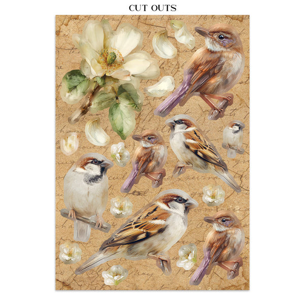PRE-ORDER / RE-ORDER Stamperia ALL AROUND A5 Junk Journal FOCUS POINTS for Arts & Crafts #SBJKS02