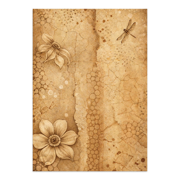 PRE-ORDER / RE-ORDER Stamperia ALL AROUND A5 Junk Journal FOCUS POINTS for Arts & Crafts #SBJKS02