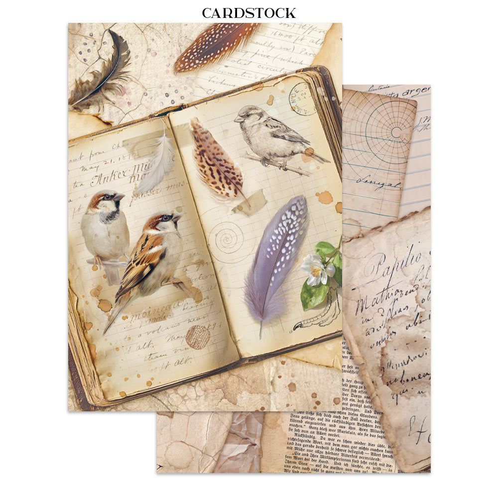 PRE-ORDER / RE-ORDER Stamperia ALL AROUND A5 Junk Journal FOCUS POINTS for Arts & Crafts #SBJKS02