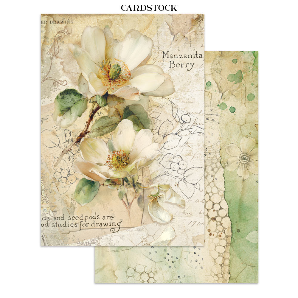 PRE-ORDER / RE-ORDER Stamperia ALL AROUND A5 Junk Journal FOCUS POINTS for Arts & Crafts #SBJKS02