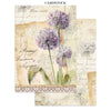 PRE-ORDER / RE-ORDER Stamperia ALL AROUND A5 Junk Journal FOCUS POINTS for Arts & Crafts #SBJKS02