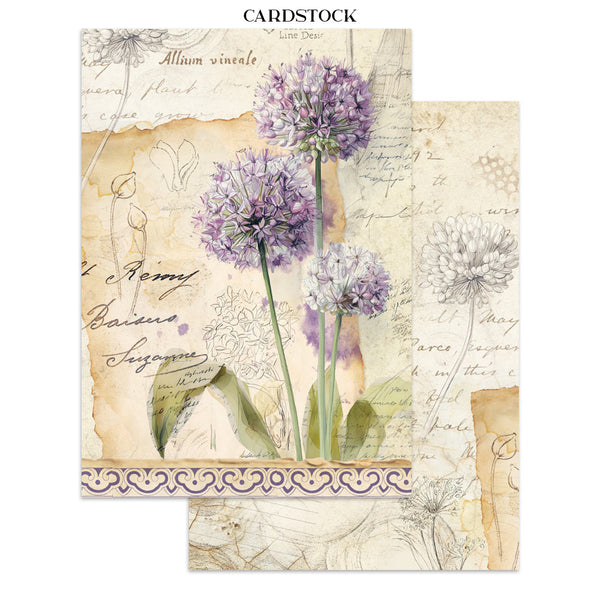 PRE-ORDER / RE-ORDER Stamperia ALL AROUND A5 Junk Journal FOCUS POINTS for Arts & Crafts #SBJKS02
