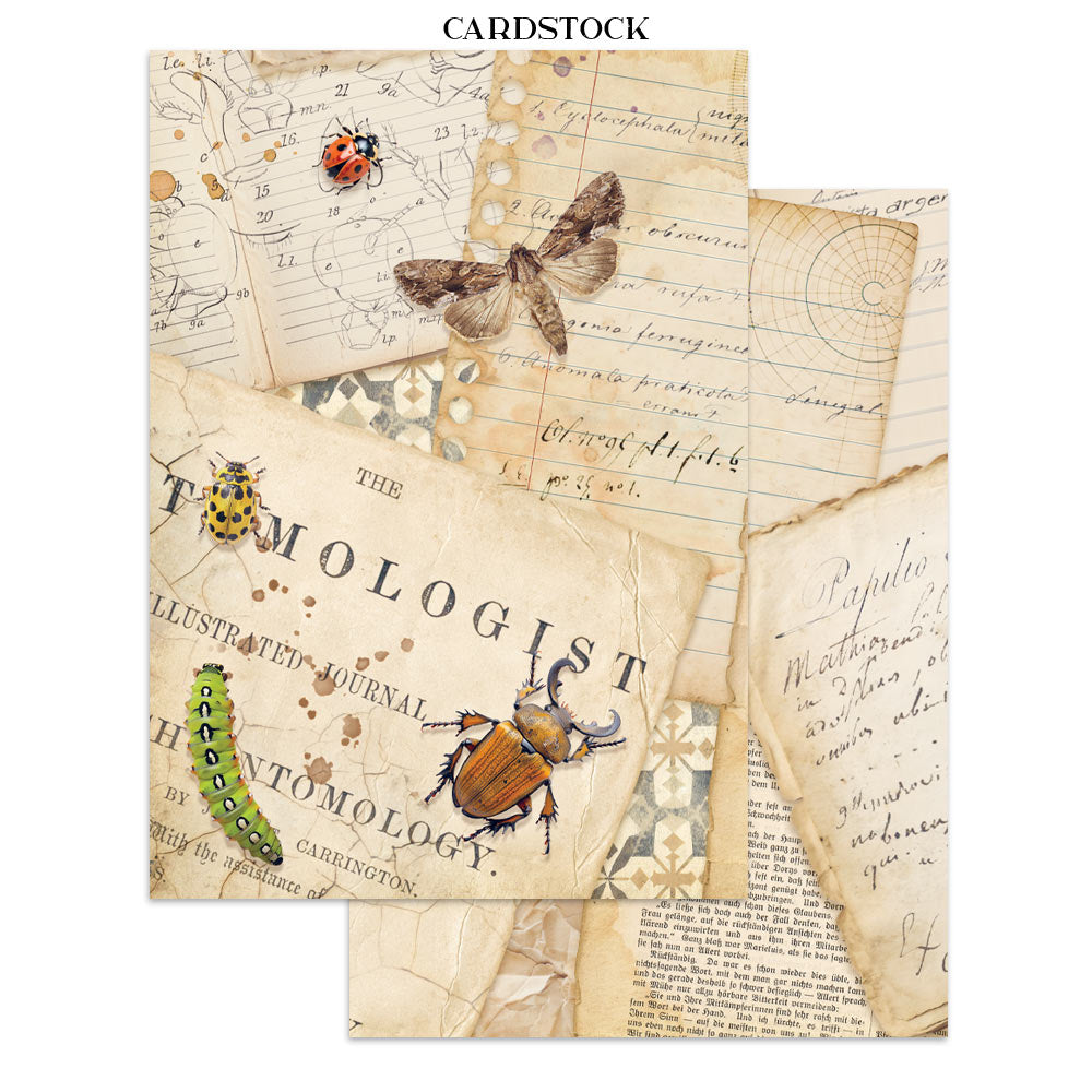 PRE-ORDER / RE-ORDER Stamperia ALL AROUND A5 Junk Journal FOCUS POINTS for Arts & Crafts #SBJKS02