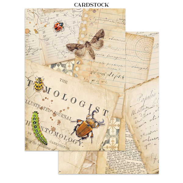PRE-ORDER / RE-ORDER Stamperia ALL AROUND A5 Junk Journal FOCUS POINTS for Arts & Crafts #SBJKS02