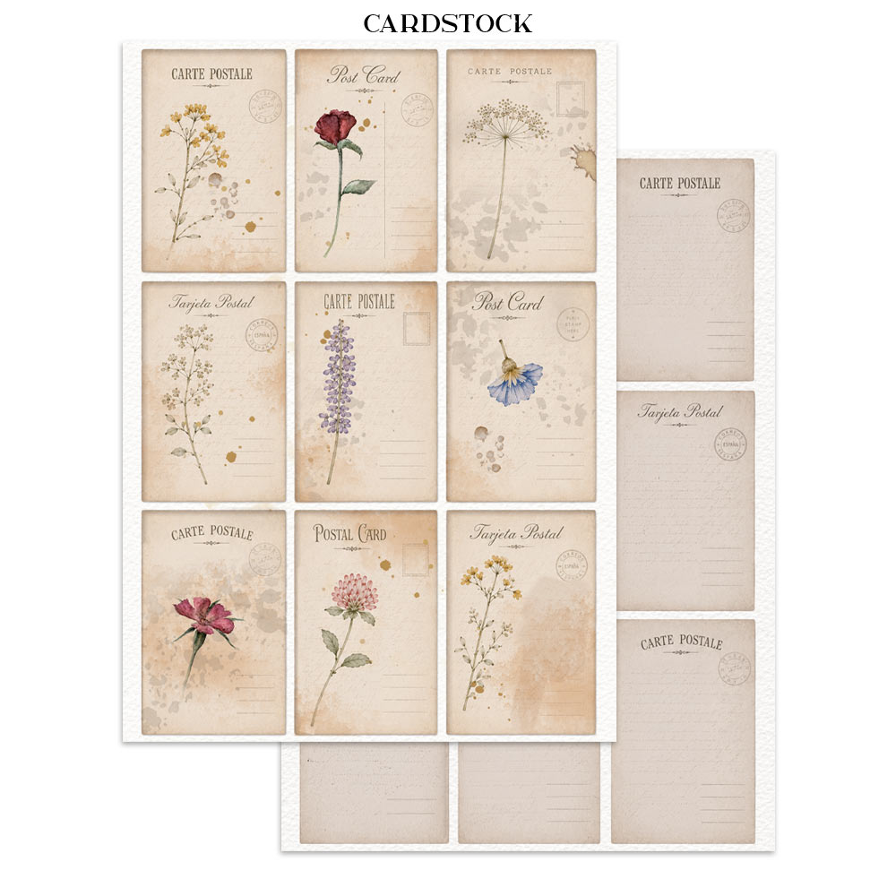 Stamperia FLOWERS and POEMS A5 Junk Journal FOCUS POINTS for Arts & Crafts #SBJKS10