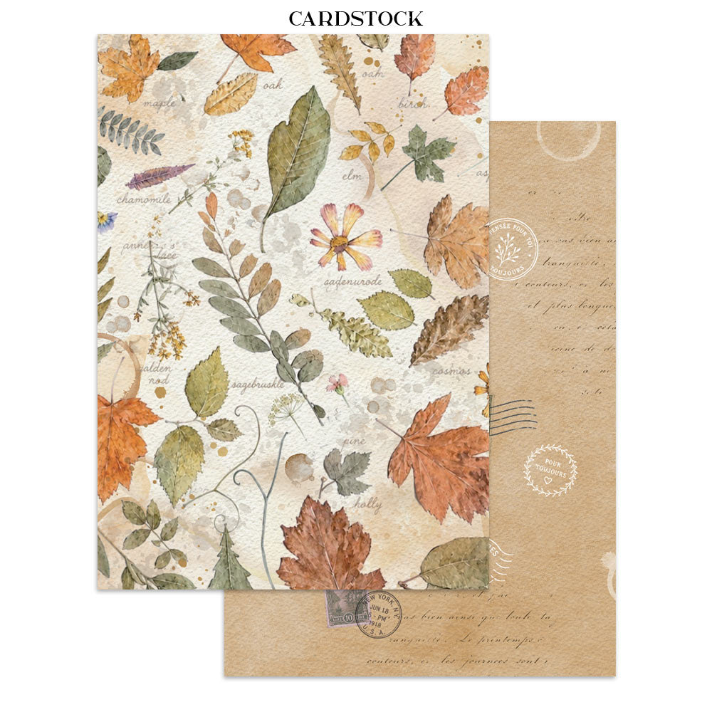 Stamperia FLOWERS and POEMS A5 Junk Journal FOCUS POINTS for Arts & Crafts #SBJKS10