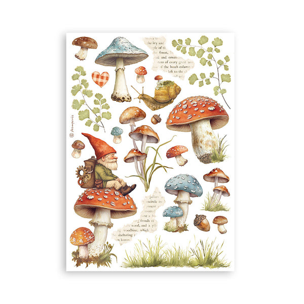 PRE-ORDER Stamperia HIDDEN GROVE Washi Pad 8 Sheets A5 #SBW17