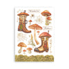 Stamperia WHISPERING WOODS Washi Pad 8 Sheets A5 #SBW24