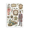Stamperia GARDENS OF TIME Washi Pad 8 Sheets A5 #SBW32
