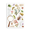 Stamperia ALL AROUND Washi Pad 8 Sheets A5 #SBW33