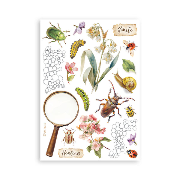 Stamperia ALL AROUND Washi Pad 8 Sheets A5 #SBW33