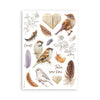 Stamperia ALL AROUND Washi Pad 8 Sheets A5 #SBW33