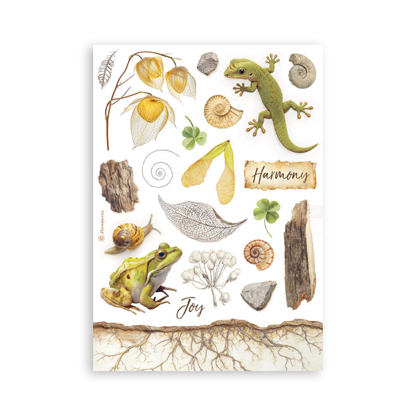Stamperia ALL AROUND Washi Pad 8 Sheets A5 #SBW33