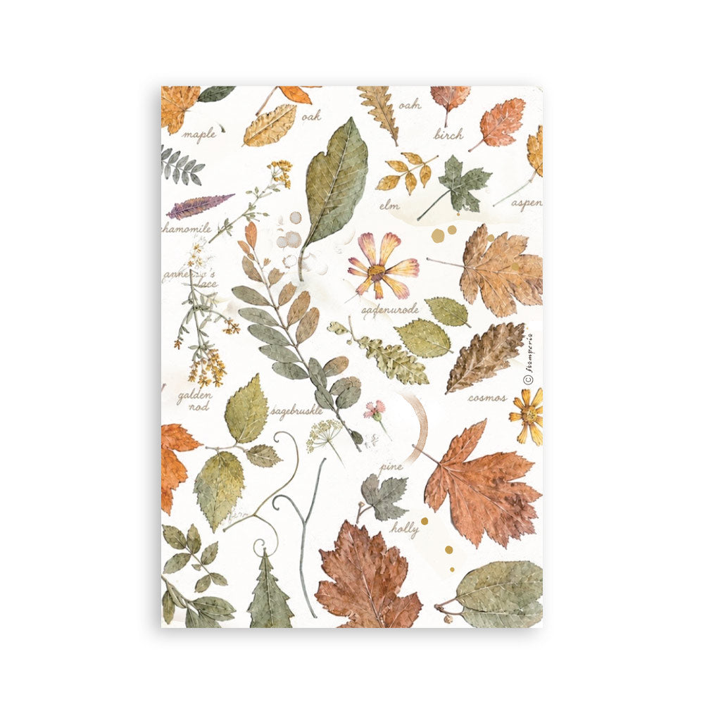 Stamperia FLOWERS and POEMS Washi Pad 8 Sheets A5 #SBW37