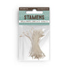 Stamperia TIMELESS FLOWER SHAPING ASSORTMENT Kit Dies Mat Burins Stamens  #SFTX01