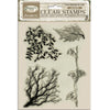 Clear stamps with leaf designs on a beige background