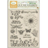 Stamperia DAISY ART Acrylic Stamps 14 x 18 cm #WTK236