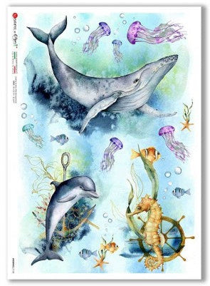 Illustration of a whale, dolphin, and seahorse with underwater elements on a white background